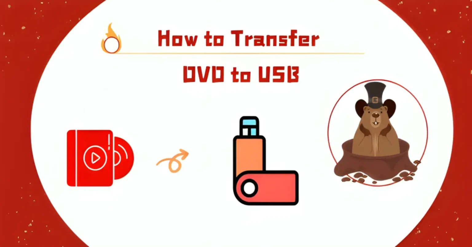 How to Transfer DVD to USB For Easy Media Conversion